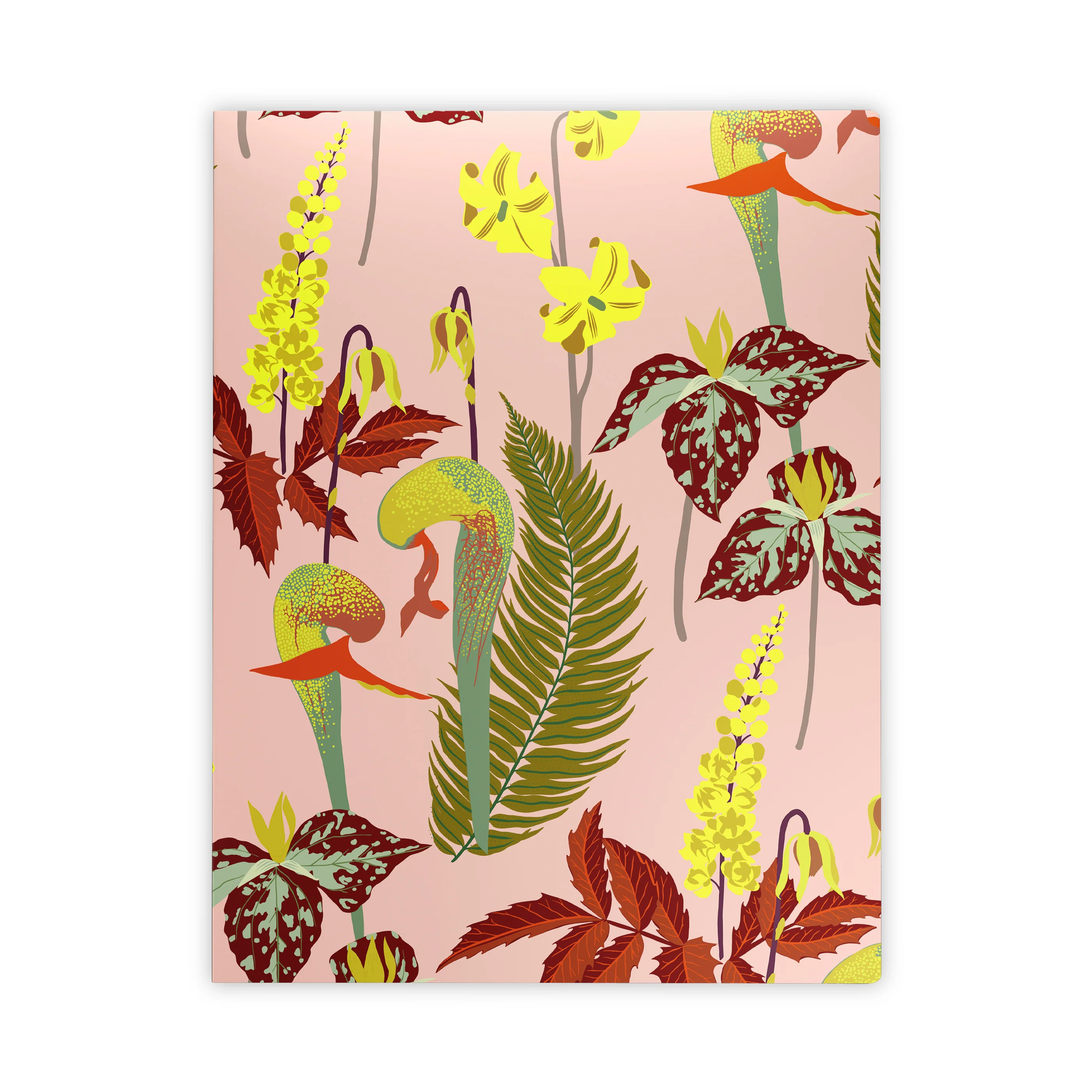 Kate Blairstone Large Notebook Set - Image 6